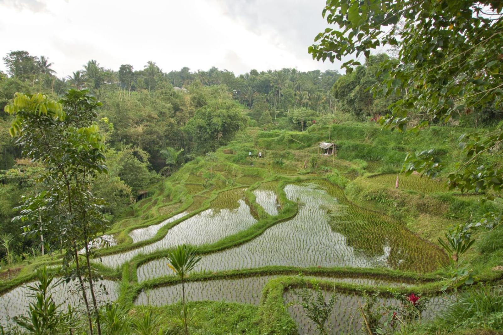 Dira Bungalows เตเตบาตู ภายนอก รูปภาพ